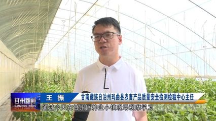 全省農(nóng)業(yè)社會(huì)化服務(wù)現(xiàn)場(chǎng)推進(jìn)會(huì)與會(huì)人員在我區(qū)觀摩