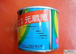 昌邑市良禾種業 優質元藏蔥，農副產品的卓越選擇