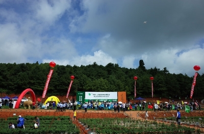 2019云南蔬菜種業博覽會開幕，推動種業創新與蔬菜產業升級